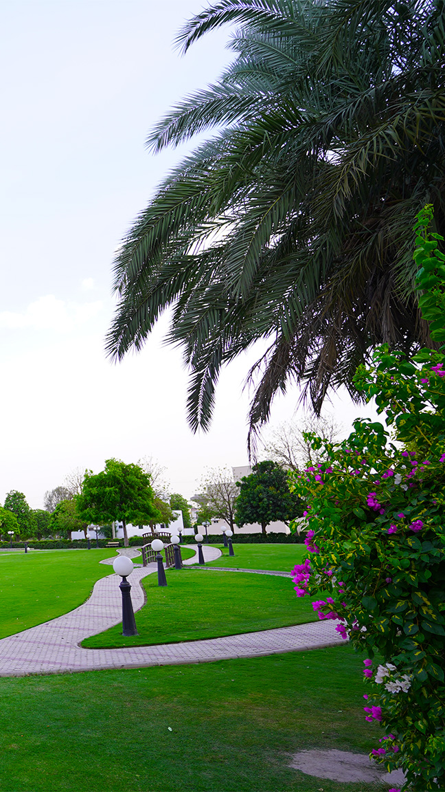 wapda-city-family-park